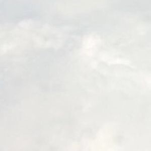 Meet your Posher, Maggie